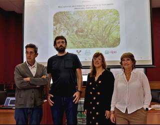 Labar-artea aurkitu dute Mendaroko Santakutz kobazuloan