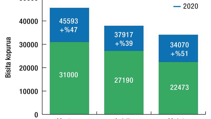 %45 igo dira bisitak Plaentxia.eus-en