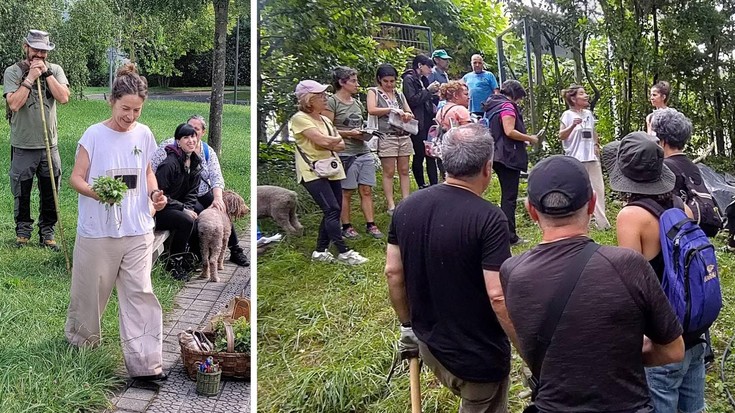 Mentxu Amunategi: "Belar exotikoen bila gabiltza askotan, etxean dugun altxorraz ohartu gabe"