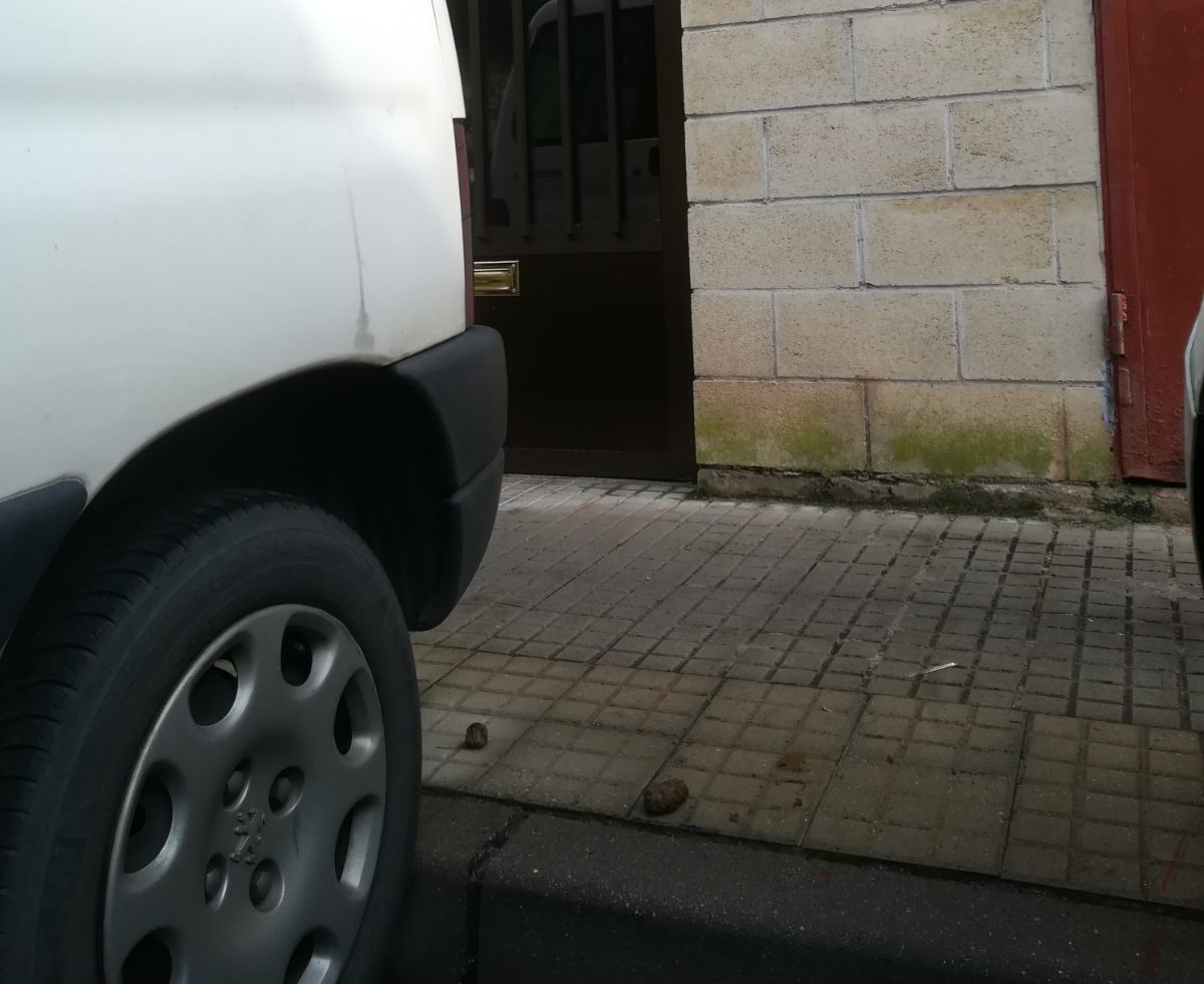 Poligonoan ere, txakur-kaka ugari