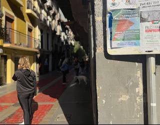 Bihar, greba, lanuzteak eta mobilizazioak Palestinaren alde
