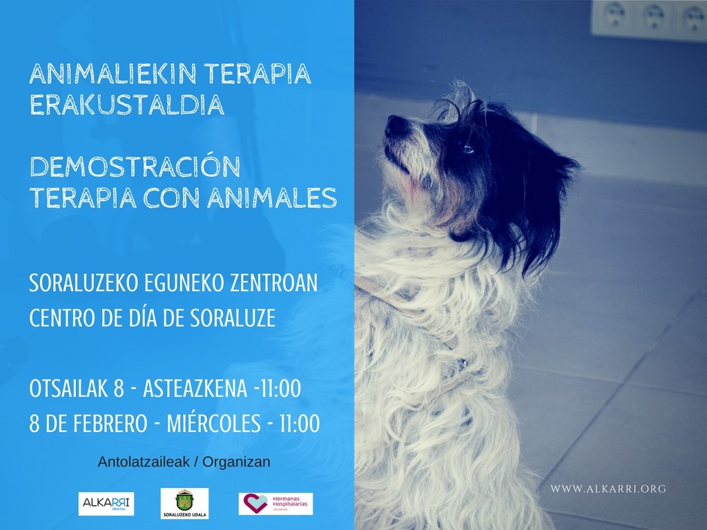 Animaliekin terapia erakustaldia