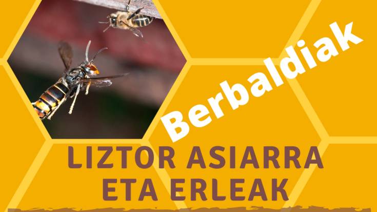 Liztor asiarra eta erleak