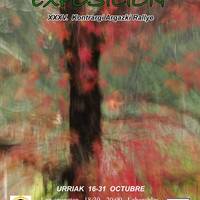 Argazki erakusketa: "XXXV. Argazki Rallya"