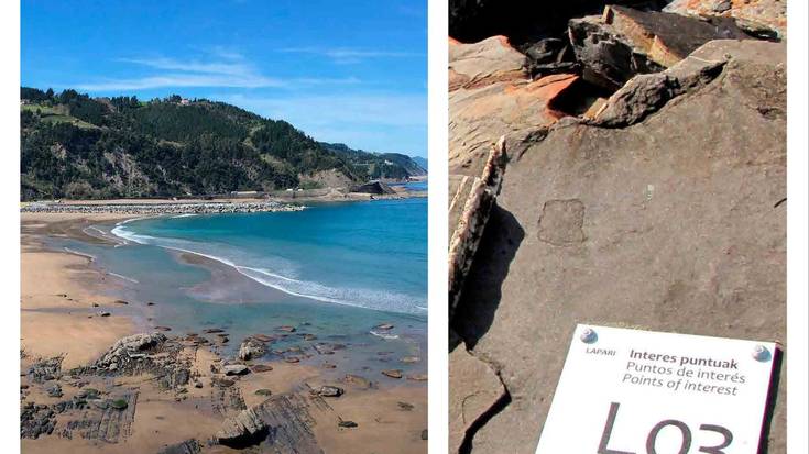 Flysch Beltza eta Altzolako Urak ezagutzeko irteerak