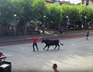 Bisitari ugari izan zituzten arratsaldeko zezenek eurekin jolastu nahian