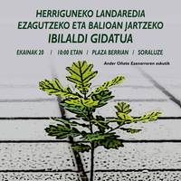 Ibilaldi gidatua herriko landareria ezagutzeko