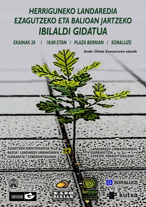 Ibilaldi gidatua herriko landareria ezagutzeko