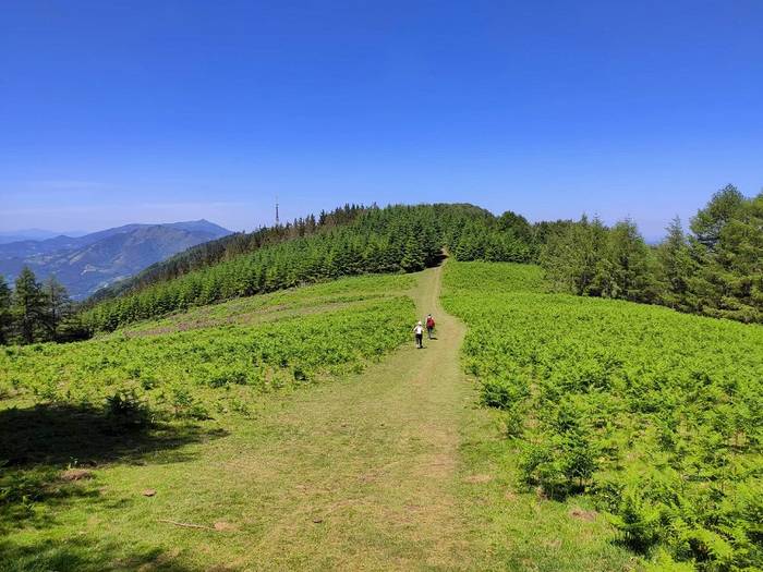 Joan den zapatuan bi soraluzetarrek jasotako txakurren erasoaren aurrean, adierazpena kaleratu du Soraluzeko Udalak