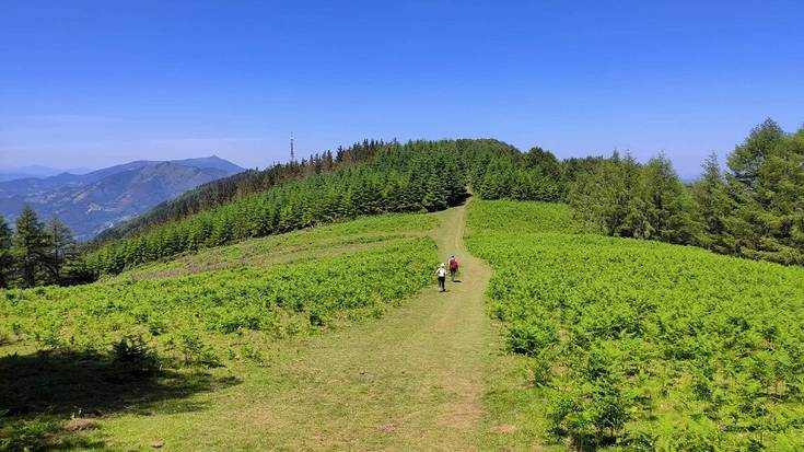 Joan den zapatuan bi soraluzetarrek jasotako txakurren erasoaren aurrean, adierazpena kaleratu du Soraluzeko Udalak