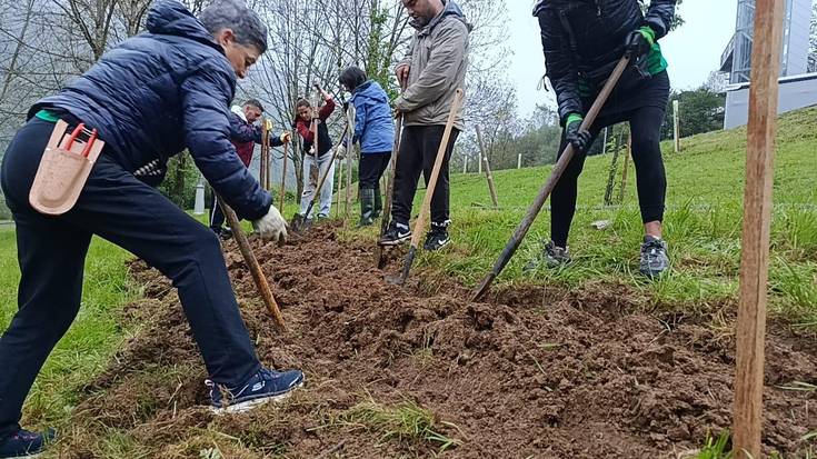 Gym Berdea ekimenean izena emateko epea, zabalik