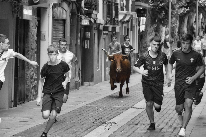 San Roke Txiki Eguna