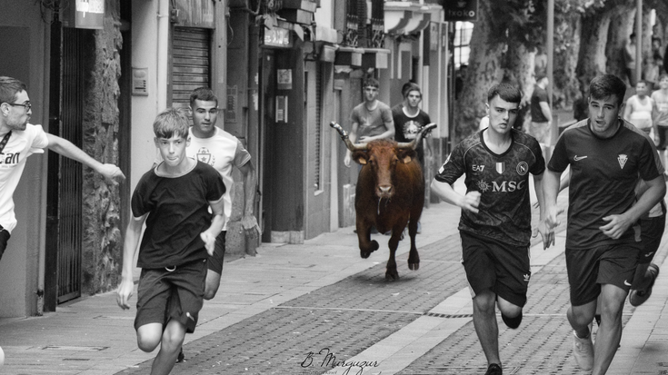 San Roke Txiki Eguna