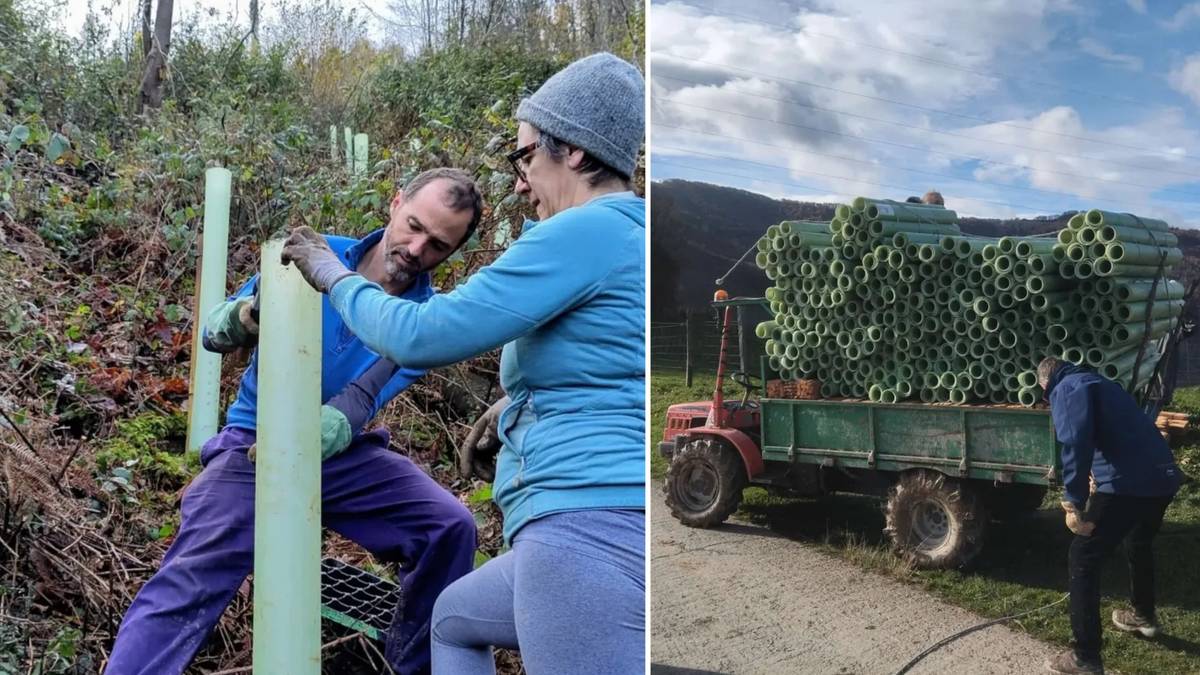 Denboraldiko lehen zuhaitz landaketa egin zuten zapatuan Muskiritzun