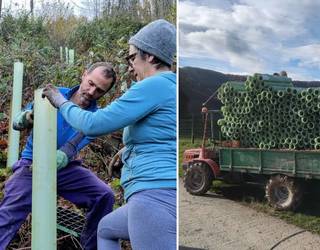 Denboraldiko lehen zuhaitz landaketa egin zuten zapatuan Muskiritzun