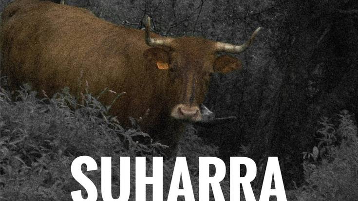 'Suharra' dokumentalaren proiekzioa eta solasaldia