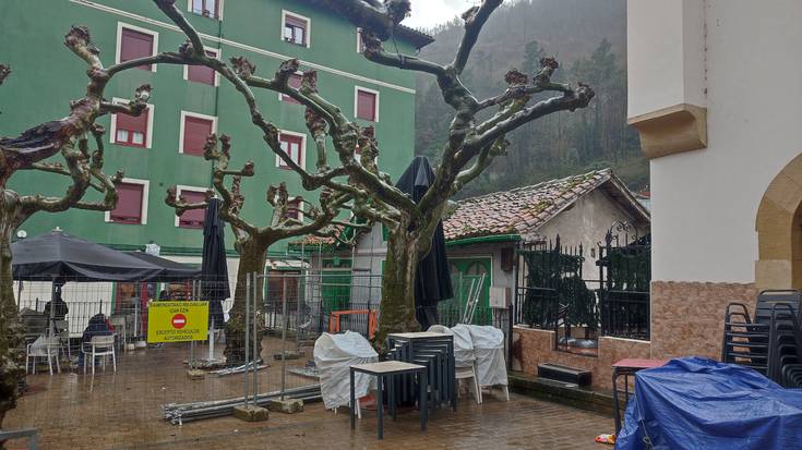 EAJ/PNV udal taldea ez dago ados Plaza Zaharreko zuhaitza moztearekin