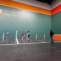 Pala txapelketa mistoa