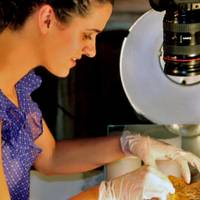 Arkeologiari buruzko hitzaldia