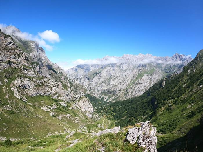 Picos de Europa