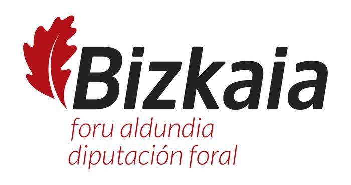 Bizkaiko Foru Aldundiaren logoa