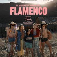 Zine-kluba: 'La misteriosa mirada del flamenco'