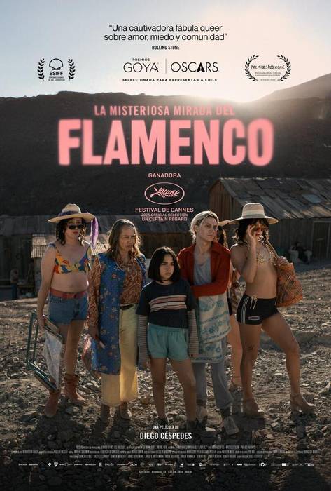 Zine-kluba: 'La misteriosa mirada del flamenco'