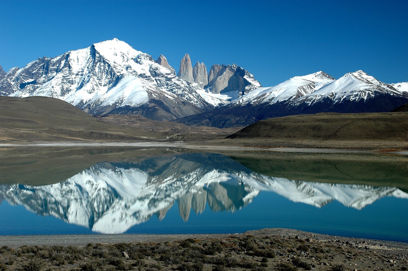 Patagonia?️
