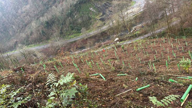 Bidegorri inguruko lursailetan balio natural eta paisajistikoa berreskuratzeko dirulaguntza berria eskuratu du Soraluzeko udalak