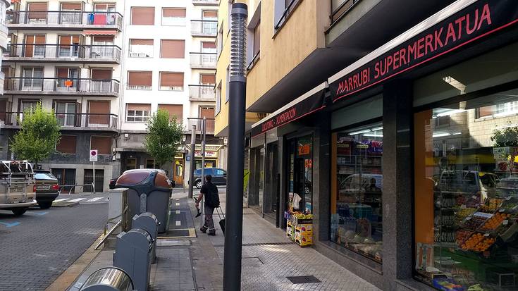 Euskara arloko dirulaguntzak onartu ditu Elgoibarko Udalak