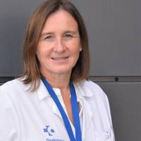 Hitzaldia: 'Hauskortasuna, mendekotasun funtzionalaren aurreko sindromea'