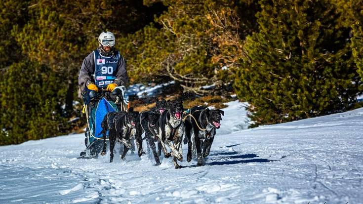 Mushing-eko Munduko Txapelketan laugarren sailkatu da Harkaitz Aizpurua lera-gidaria