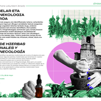 Ikastaroa: "Sendabelarrak eta fitoginekologia"