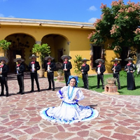 Mariachi Imperial de Guajanatoren kalejira eta kontzertua