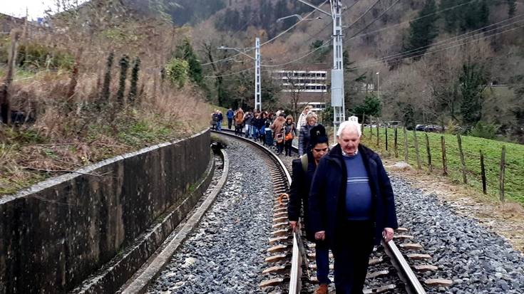 Zuhaitz bat erori da trenbidera Mendaro eta Altzola artean