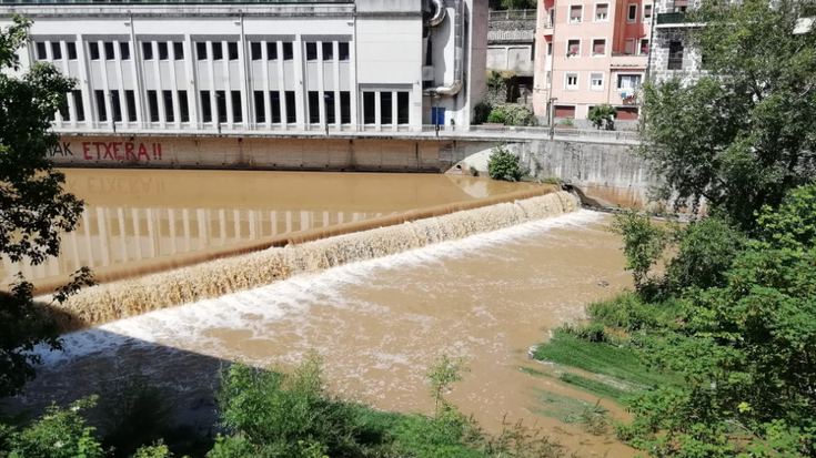 EAEko "baso politika desegokia" salatu du Soraluzeko Baso Biziak elkarteak