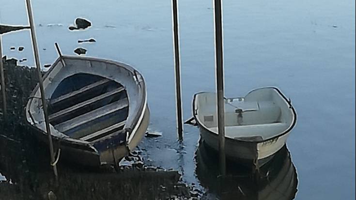 Tere Guenetxearen udako argazkiak