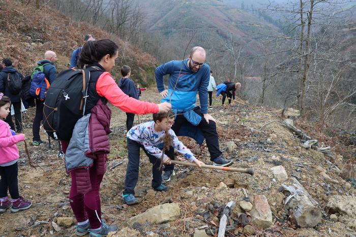 Zuhaitzak landatzeko eguna izango dute domeka, Mendaron