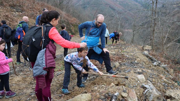 Zuhaitzak landatzeko eguna izango dute domeka, Mendaron