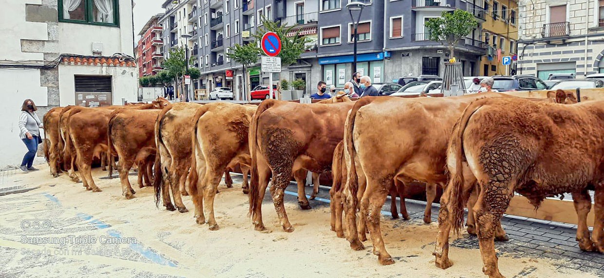 Baserritarren postuak eta ganadu feria, hil bukaerako ferian