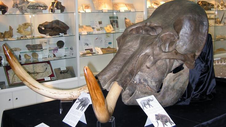 Mufomi museoaren 25. urteurrenari eskainiko diote aurtengo zigilu erakusketa
