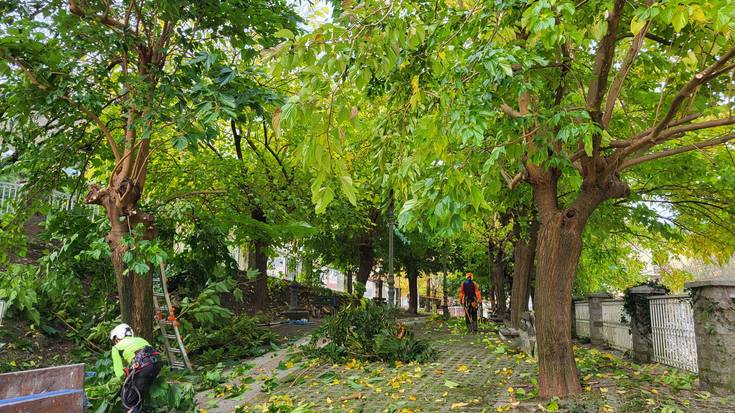 Kimatze lanak hasi dira Soraluzeko hainbat eremutan