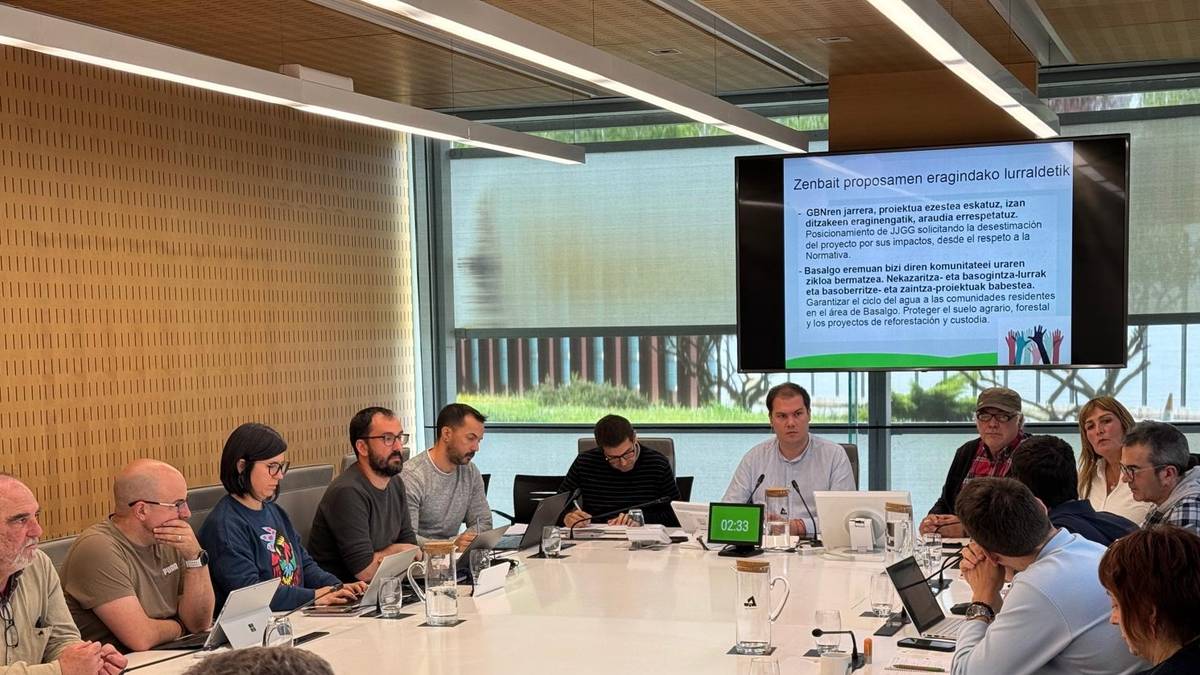Basalgo proiektu eolikoaren inguruan eztabaidatu eta bozkatuko dute Batzar Nagusietan
