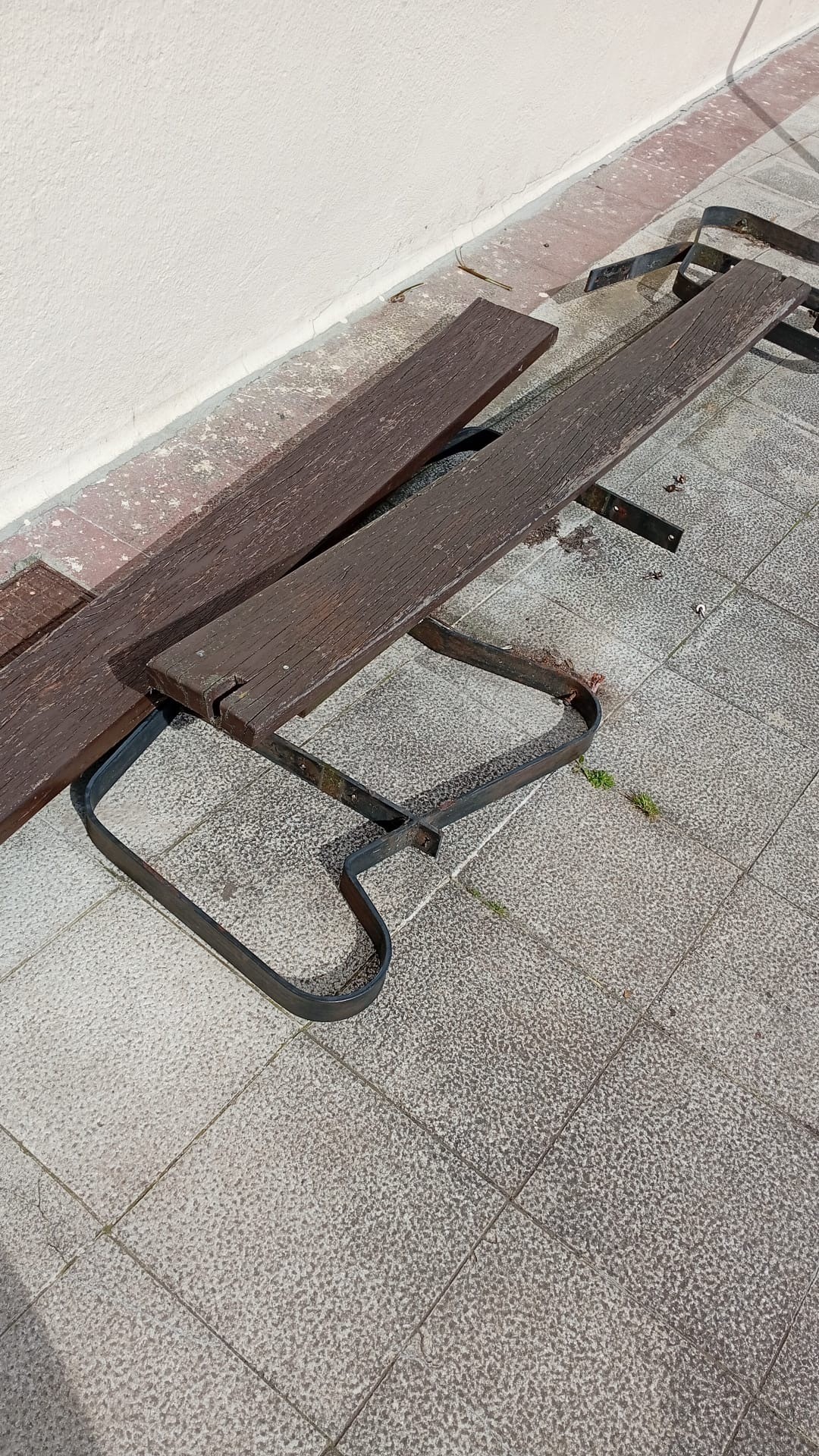 Jarlekua desmuntatuta kalistenia parkean