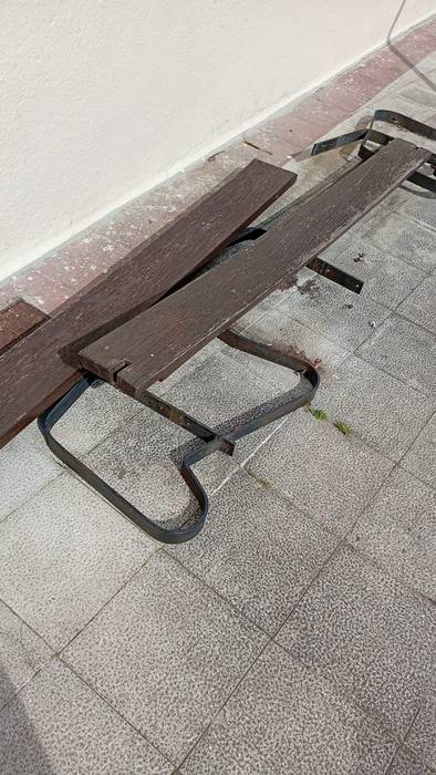 Jarlekua desmuntatuta kalistenia parkean