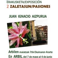 Erakusketa: '2 zaletasun' (Juan Ignacio Aizpurua)