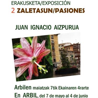 Erakusketa: '2 zaletasun' (Juan Ignacio Aizpurua)
