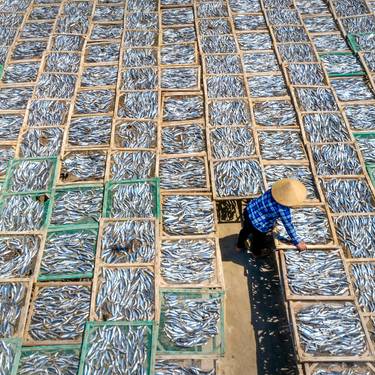 Marea Gora hitzaldia: '¿Cuantos peces hay en el mar?'