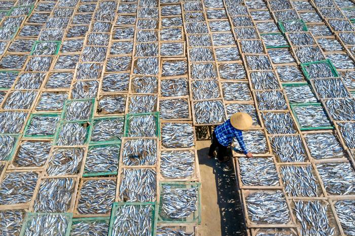 Marea Gora hitzaldia: '¿Cuantos peces hay en el mar?'