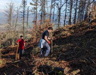 Zuhaitz landatzea antolatu du  Baso Biziak taldeak zapaturako